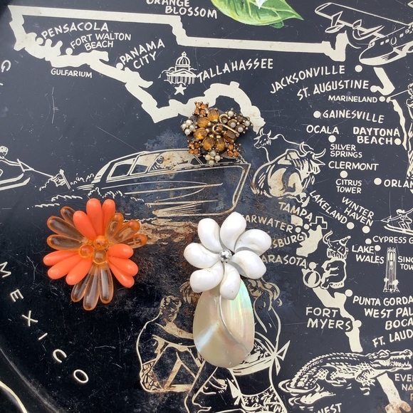 Restyled Repurposed Vintage Florida Souvenir Magnetic Tray & 3 Magnets 1950’s - Picture 3 of 12